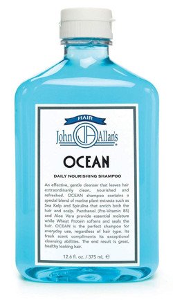 ocean by john allan's