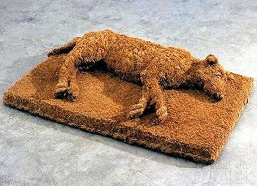 cool doormats for guys