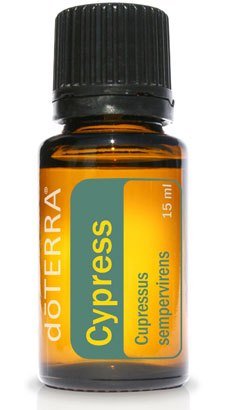 cyprus essential oil