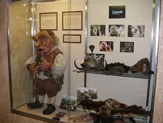 Hoggle display