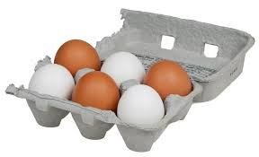 eggs protein